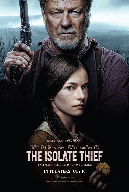 فیلم سارق منزوی